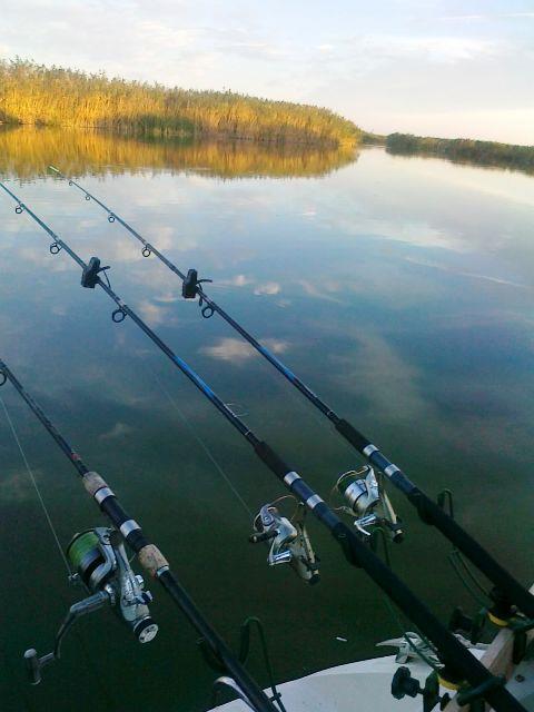 Doar ... NATURA - 3 - 170920131828.jpg